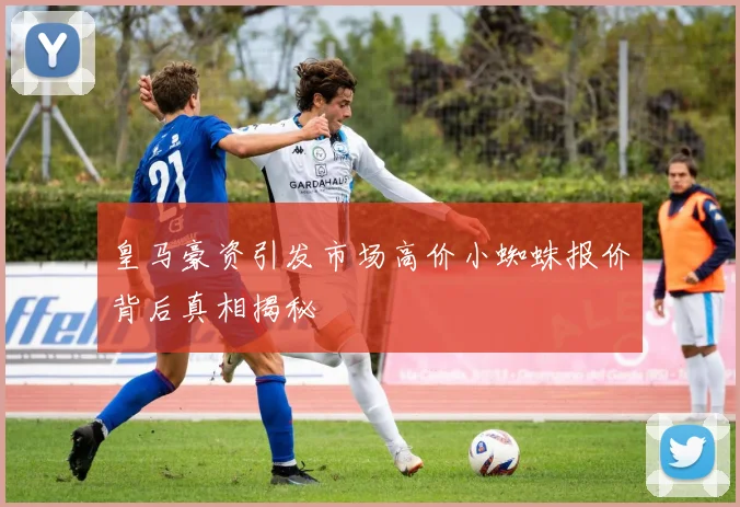 皇马豪资引发市场高价小蜘蛛报价背后真相揭秘